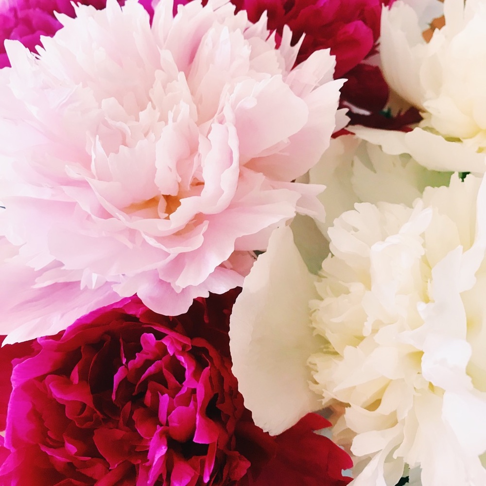 Meet your Posher, Kate